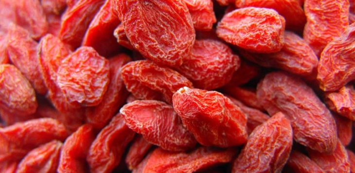 Hurtowa owoców suszonych goji Hurtowa owoców suszonych goji