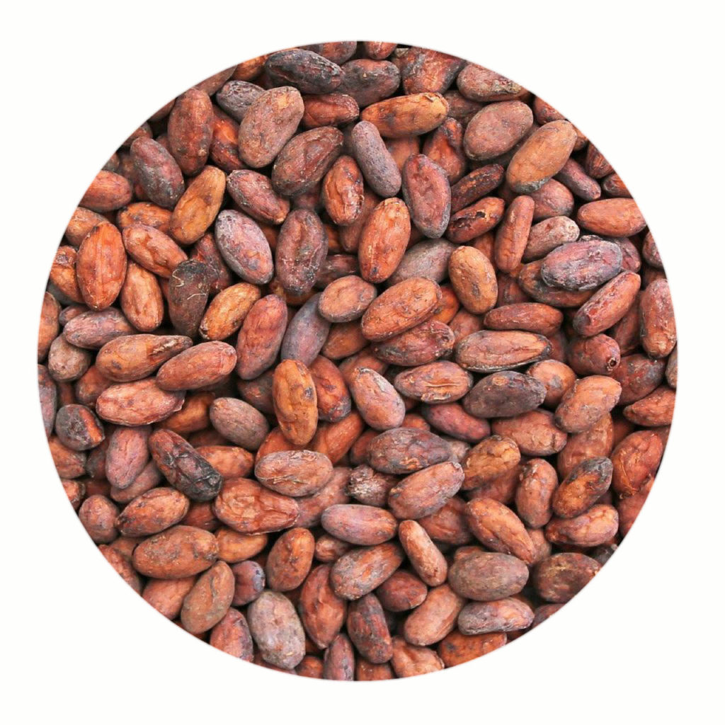 surowe ziarna kakao